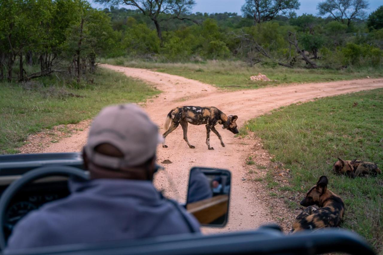 Thornybush Game Lodge Καταφύγιο Άγριας Ζωής Thornybush Εξωτερικό φωτογραφία