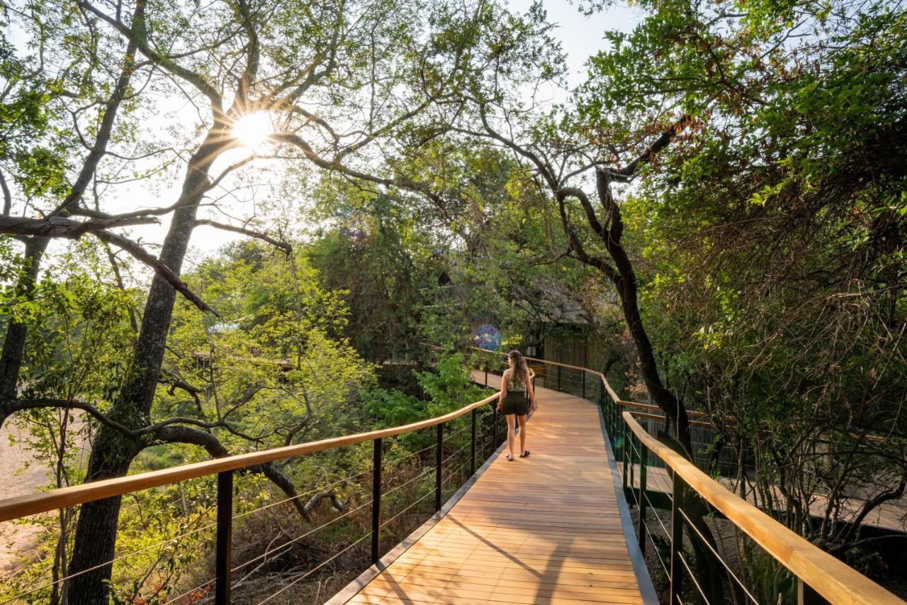 Thornybush Game Lodge Καταφύγιο Άγριας Ζωής Thornybush Εξωτερικό φωτογραφία