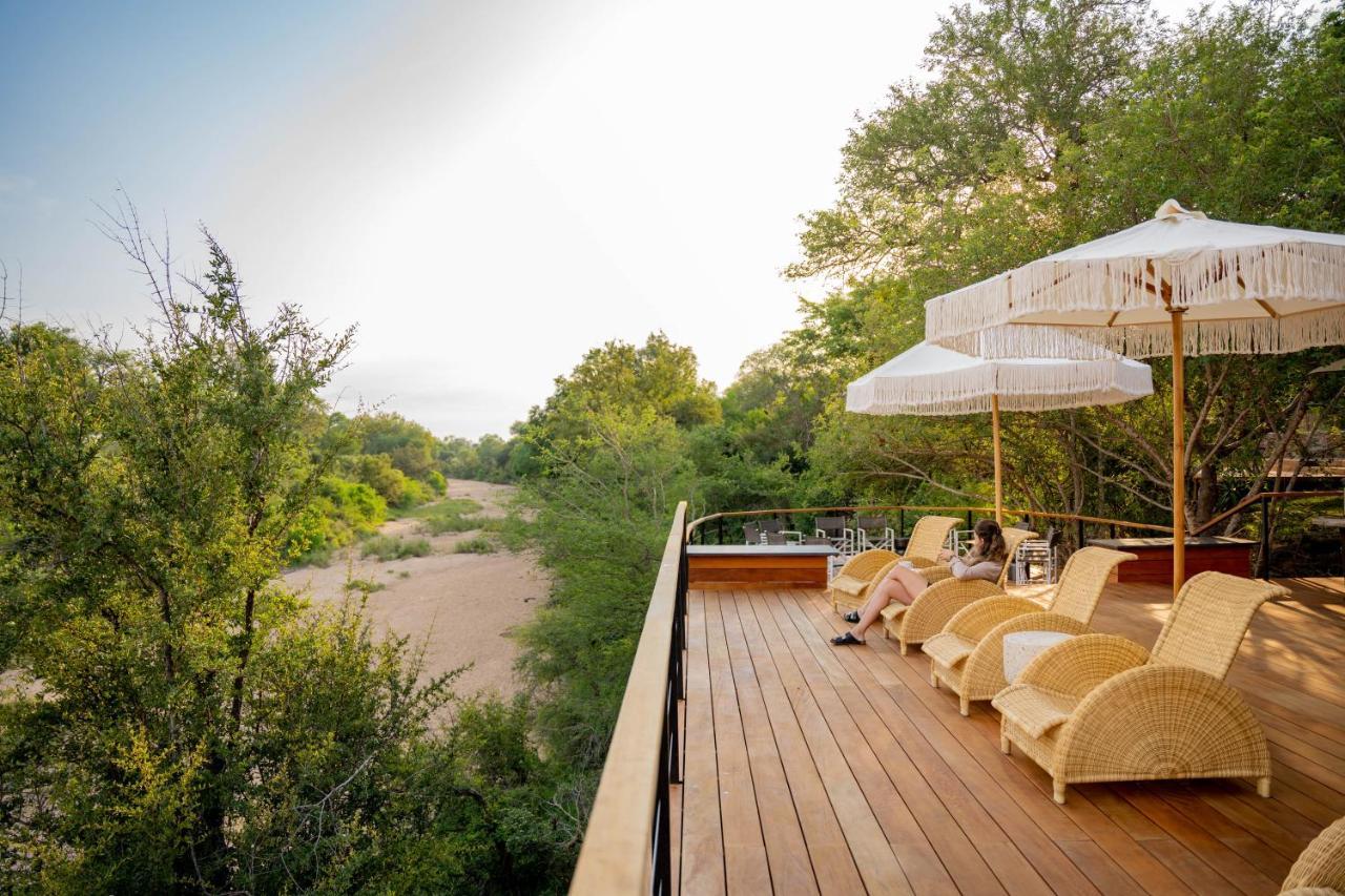 Thornybush Game Lodge Καταφύγιο Άγριας Ζωής Thornybush Εξωτερικό φωτογραφία