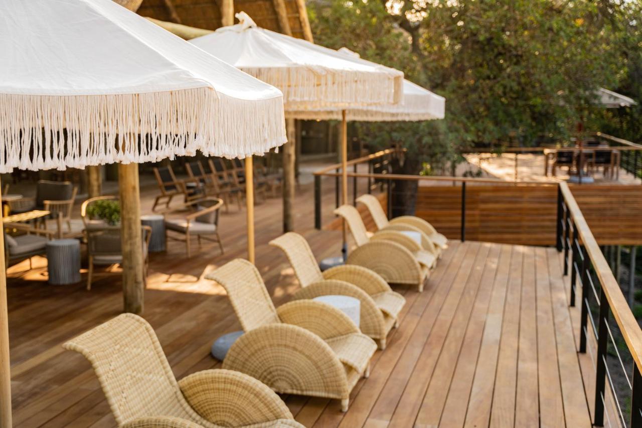 Thornybush Game Lodge Καταφύγιο Άγριας Ζωής Thornybush Εξωτερικό φωτογραφία